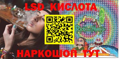 соль ск Сланцы