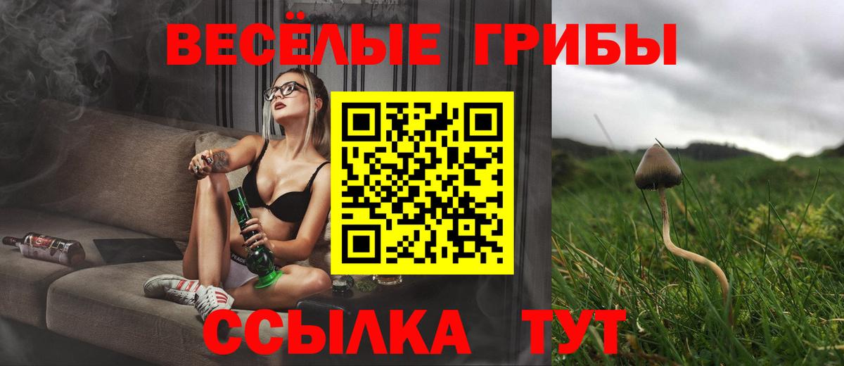 Магадан  Псилоцибиновые грибы GOLDEN TEACHER  Вход с VPN 