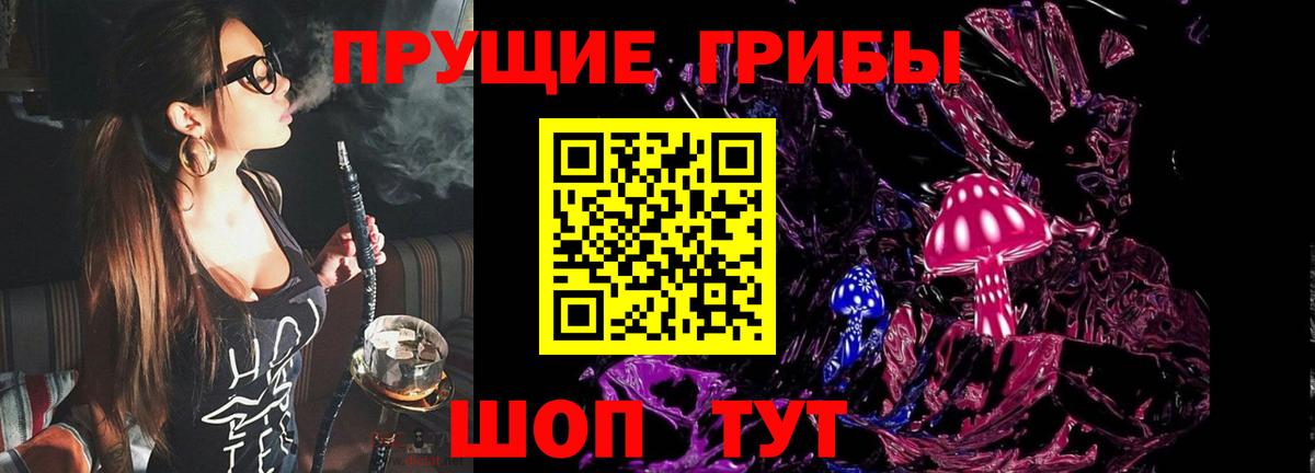 Псилоцибиновые грибы мухоморы Магадан